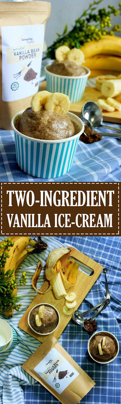 Two Ingredient Vanilla Ice Cream Recipe - Summer Day Naturals