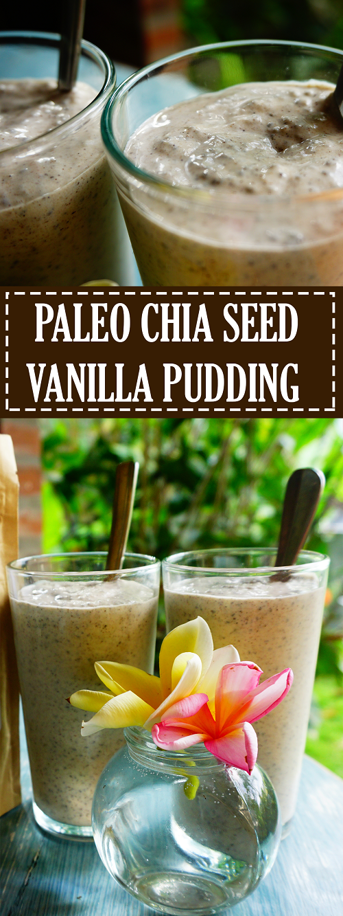 Paleo Chia Seed Vanilla Pudding Recipe - Summer Day Naturals