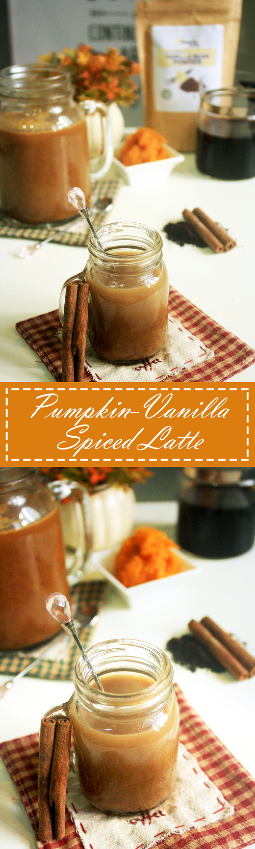 Pumpkin-Vanilla Spiced Latte Recipe - Summer Day Naturals