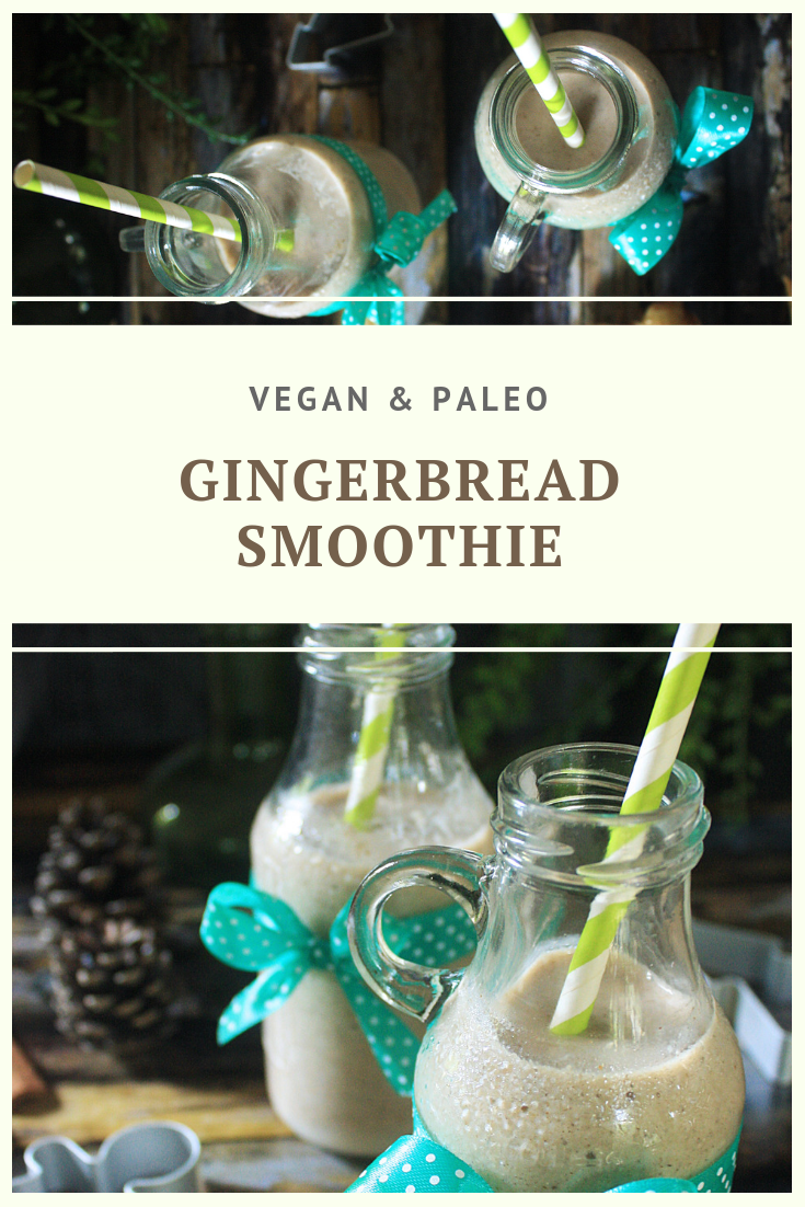 Vegan & Paleo Gingerbread Smoothie Recipe by Summer Day Naturals