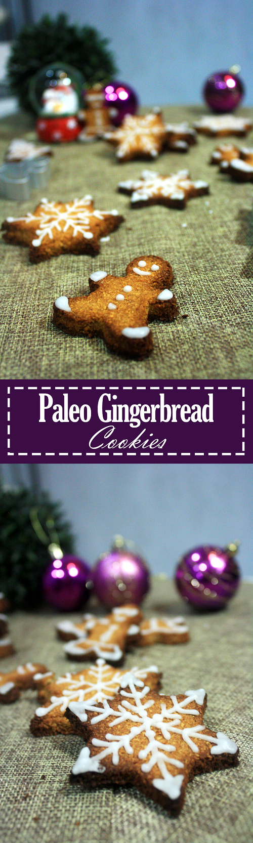 Paleo Gingerbread Cookies with Icing by Summer Day Naturals