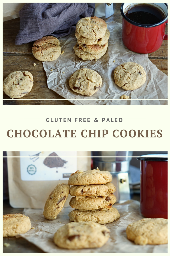 Healthy Paleo Chocolate Chip Cookie Recipe by Summer Day Naturals